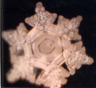 http://www.life-enthusiast.com/twilight/emoto/antarctic.jpg