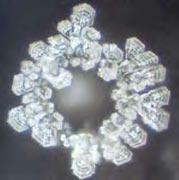 http://www.life-enthusiast.com/twilight/emoto/lourdes.jpg