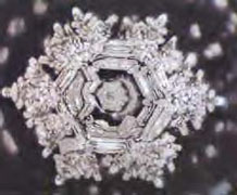 http://www.life-enthusiast.com/twilight/emoto/fujiwara_prayer.jpg