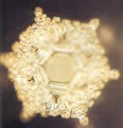 http://www.life-enthusiast.com/twilight/emoto/love.jpg