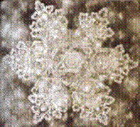 http://www.life-enthusiast.com/twilight/emoto/saijo_japan.gif