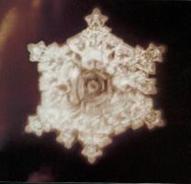 http://www.life-enthusiast.com/twilight/emoto/beethoven_pastoral.jpg