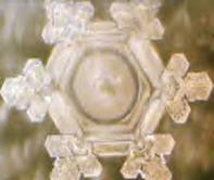 http://www.life-enthusiast.com/twilight/emoto/thank_you.jpg